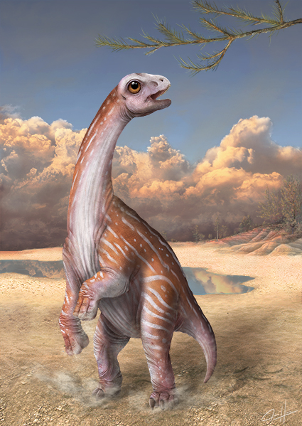 Young Rapetosaurus Foraging