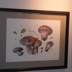 Mushroom painting 1