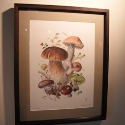 Mushroom painting 2