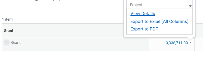 Web view of a report drill down after selecting a number's blue hyperlink