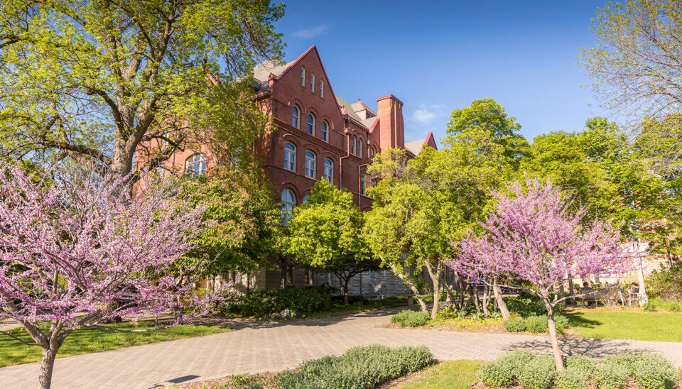Green and pink leaves bloom on the trees next to Old Main.