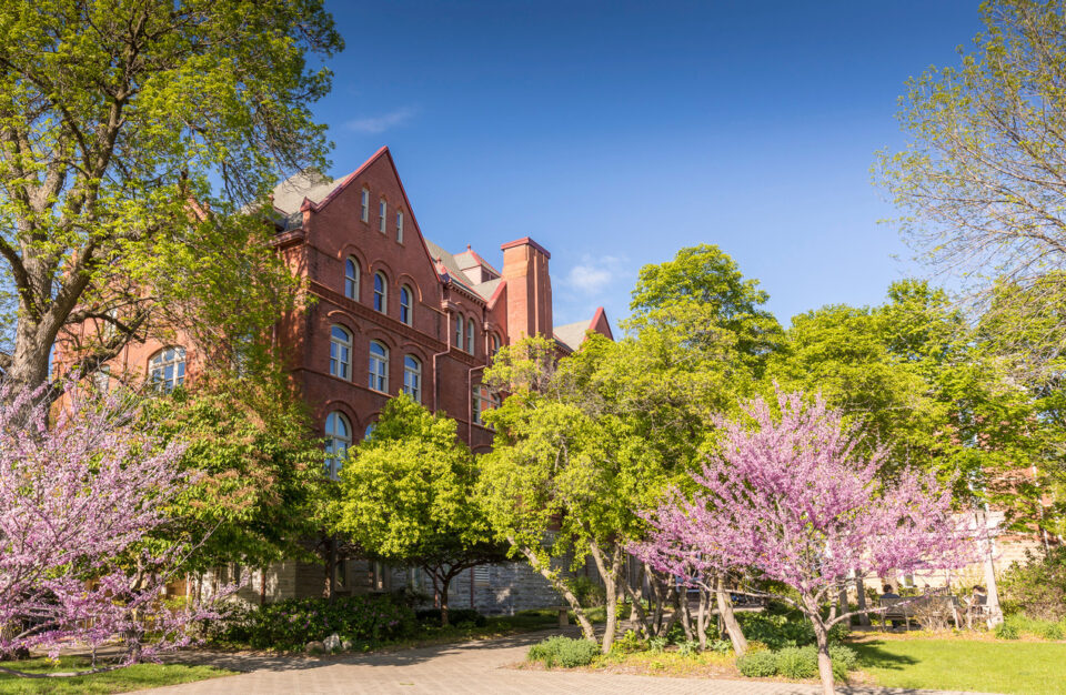 Green and pink leaves bloom on the trees next to Old Main.