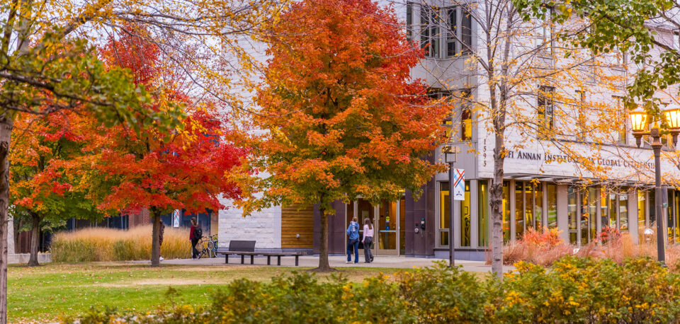 Students walk under a tree with bright red fall leaves near Markim Hall.