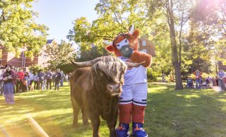 Macalester's mascot Coo poses with a real-life Highland Coo on the Great Lawn.